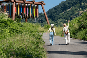 Echigo-Tsumari Art Festival